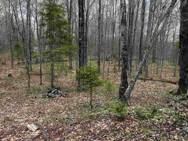 E 3946 Storm Road, Chatham, MI 49816