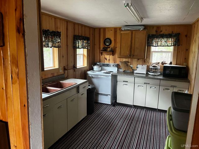 E 3946 Storm Road, Chatham, MI 49816