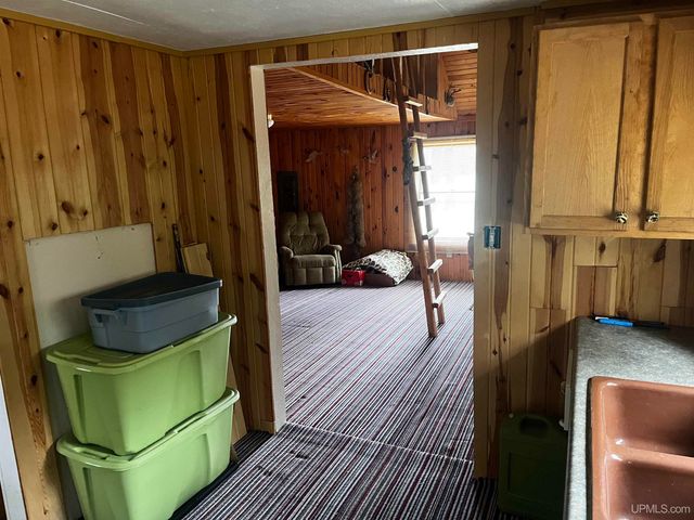 E 3946 Storm Road, Chatham, MI 49816