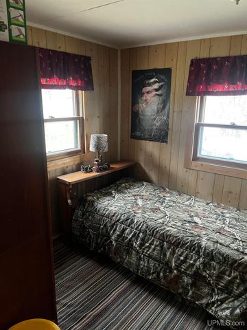 E 3946 Storm Road, Chatham, MI 49816