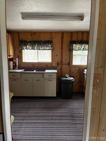 E 3946 Storm Road, Chatham, MI 49816