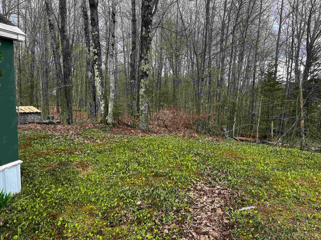 E 3946 Storm Road, Chatham, MI 49816