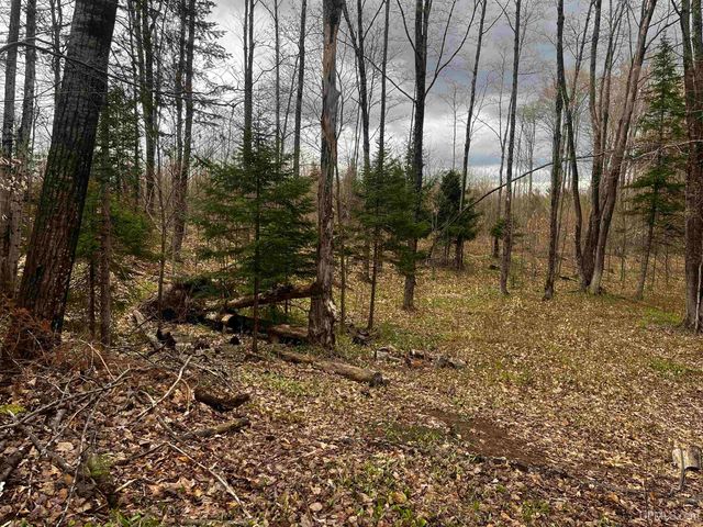 E 3946 Storm Road, Chatham, MI 49816