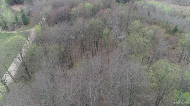 E 3946 Storm Road, Chatham, MI 49816