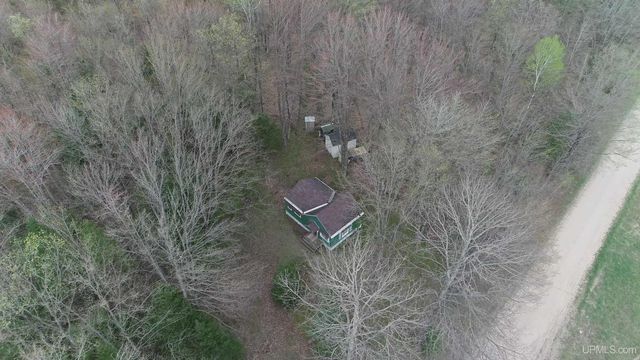 E 3946 Storm Road, Chatham, MI 49816