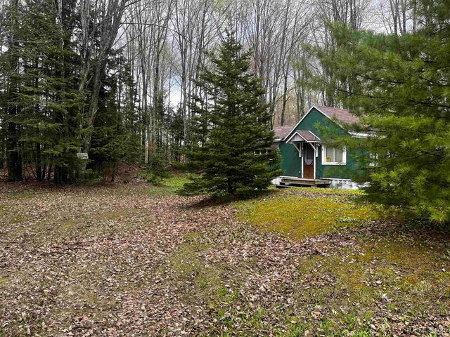 E 3946 Storm Road, Chatham, MI 49816