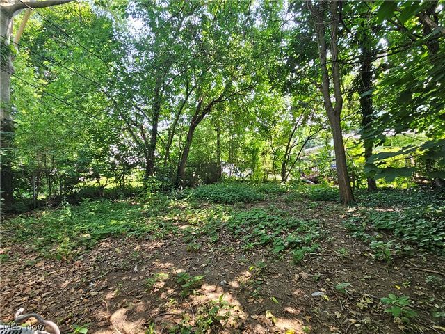 1331 E 88th Street, Cleveland, OH 44106