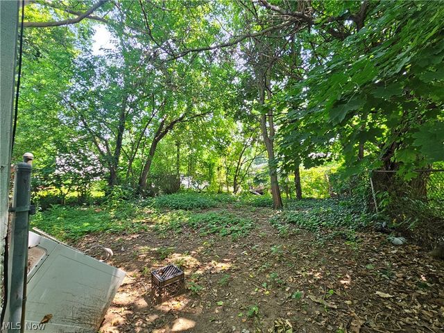 1331 E 88th Street, Cleveland, OH 44106
