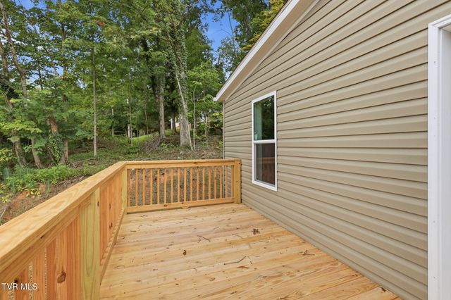 306 Willow Street, Mount Carmel, TN 37645