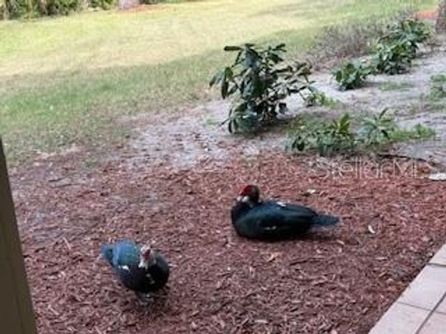 3034 PARKWAY BOULEVARD 202, Kissimmee, FL 34747