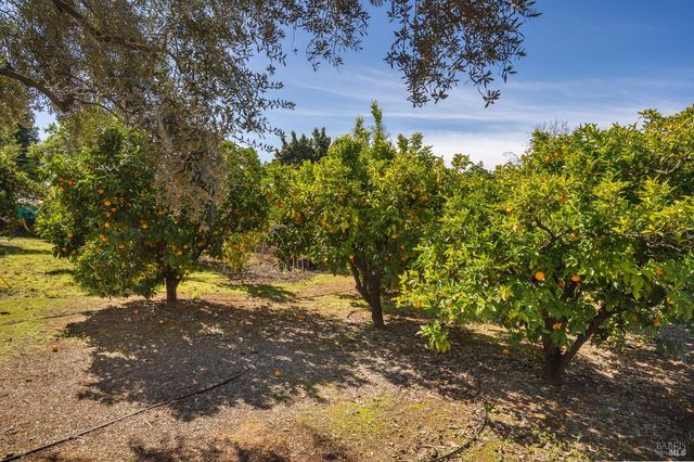 939 Champion Ln, Deer Park, CA 94576