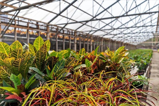 248 Piliwale Rd, Kula, HI 96790