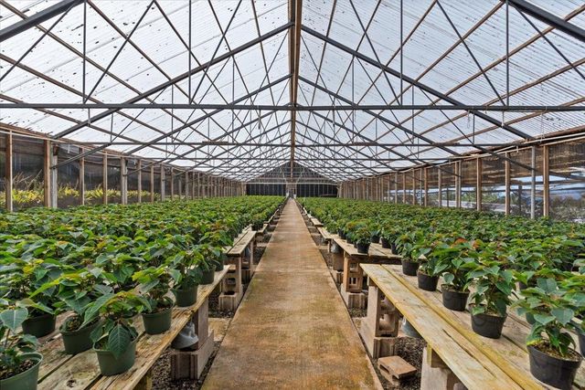 248 Piliwale Rd, Kula, HI 96790