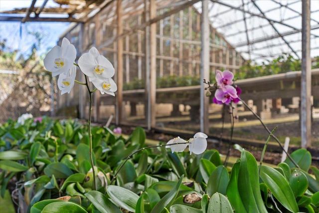 248 Piliwale Rd, Kula, HI 96790