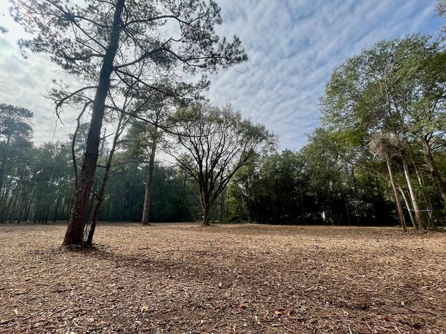 10690 Waukegan Road, Conroe, TX 77306