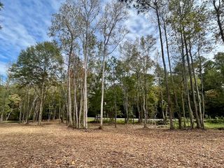 10690 Waukegan Road, Conroe, TX 77306