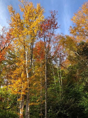 50 Banjo Drive, Thornton, NH 03285