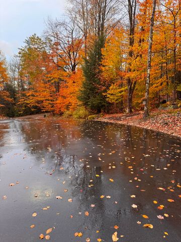 50 Banjo Drive, Thornton, NH 03285