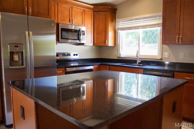 195 Sunny Wood Court, Unincorporated, MO 63146