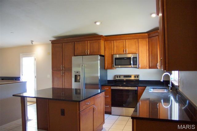195 Sunny Wood Court, Unincorporated, MO 63146