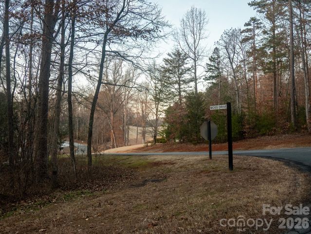 00 Moss Drive, Rutherfordton, NC 28139