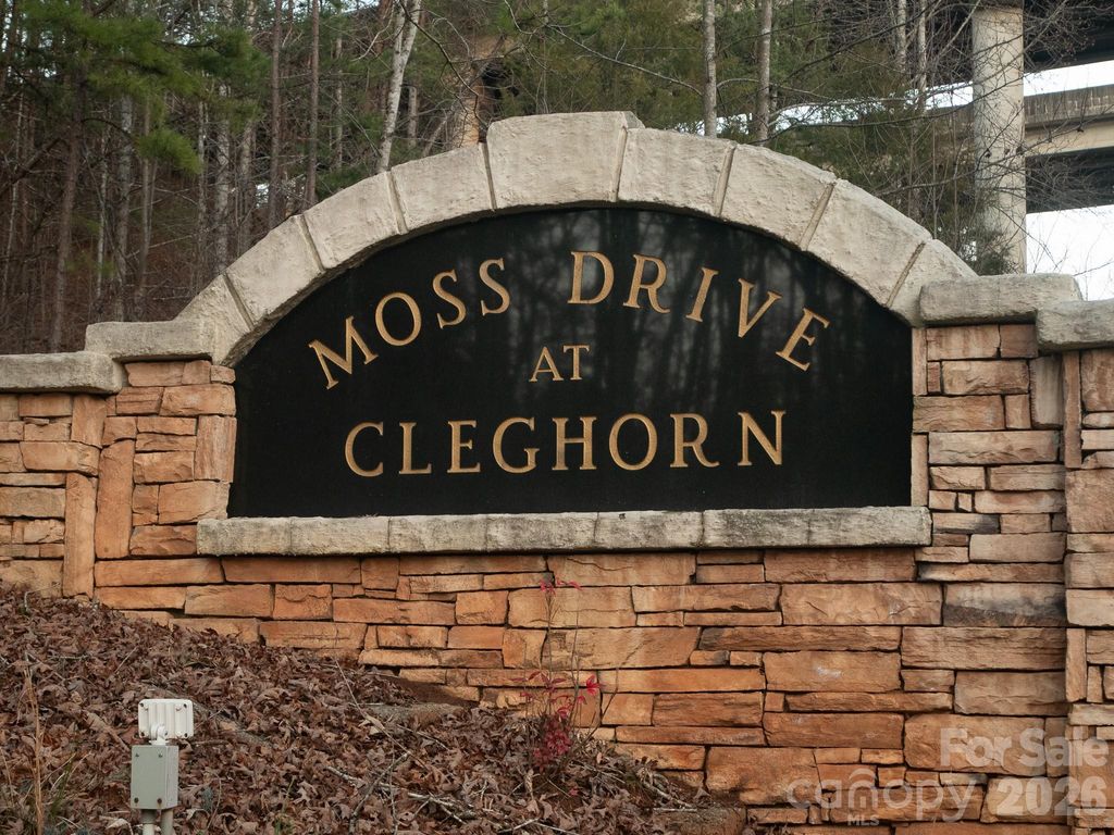 00 Moss Drive, Rutherfordton, NC 28139