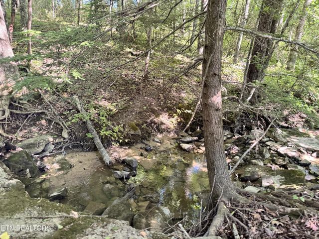 6986 S York Hwy, Clarkrange, TN 38553