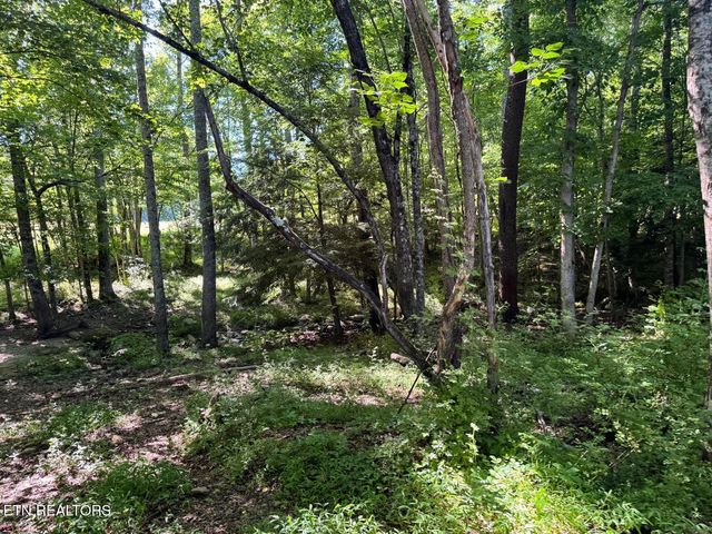 6986 S York Hwy, Clarkrange, TN 38553