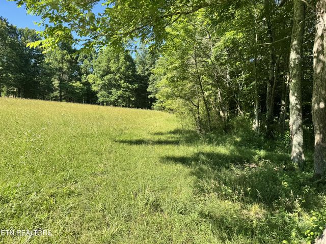 6986 S York Hwy, Clarkrange, TN 38553