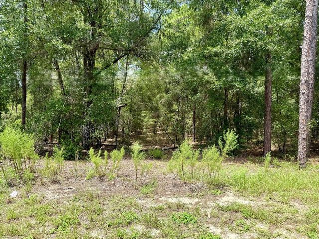 SW 205TH CIRCLE, Dunnellon, FL 34431