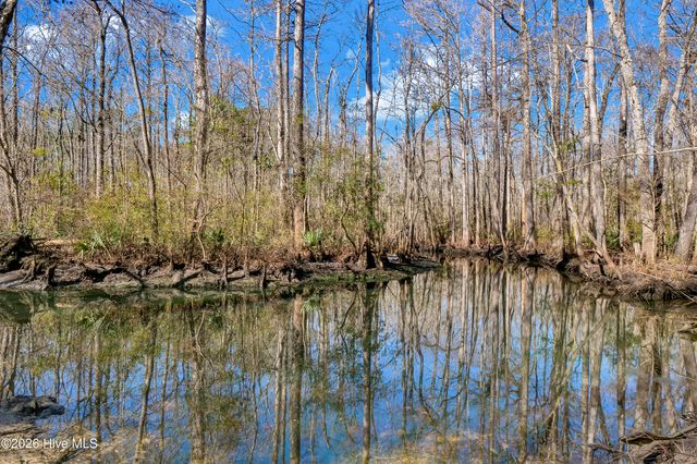 121 Candlewood Drive, Hampstead, NC 28443