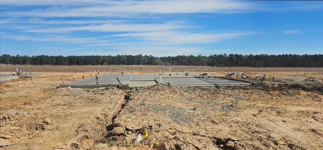 561 Wax Myrtle Way, Hockley, TX 77447