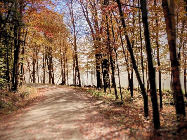 454 Edwin's Pond Road, Rochester, VT 05767