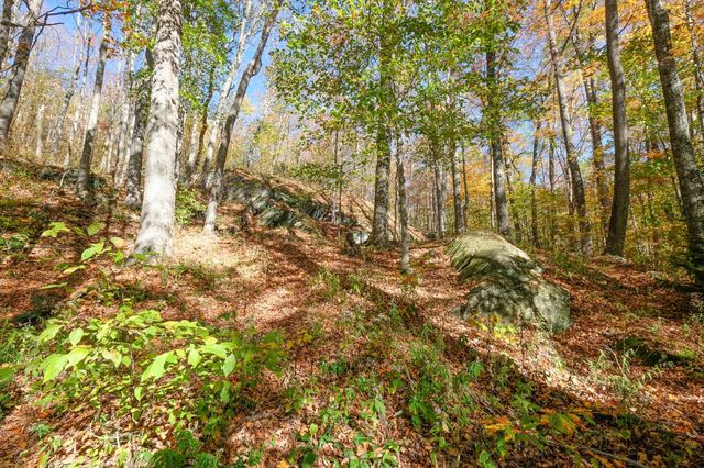 454 Edwin's Pond Road, Rochester, VT 05767