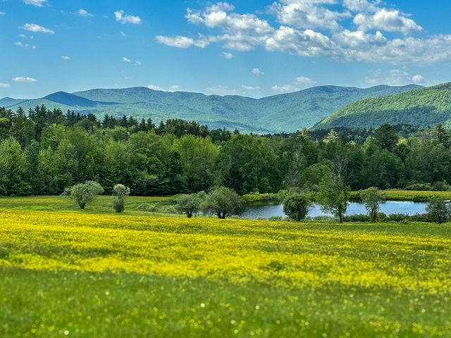 454 Edwin's Pond Road, Rochester, VT 05767