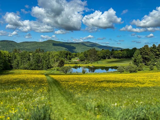 454 Edwin's Pond Road, Rochester, VT 05767