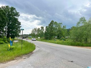0 MINERAL SPRINGS ROAD, Pell City, AL 35125