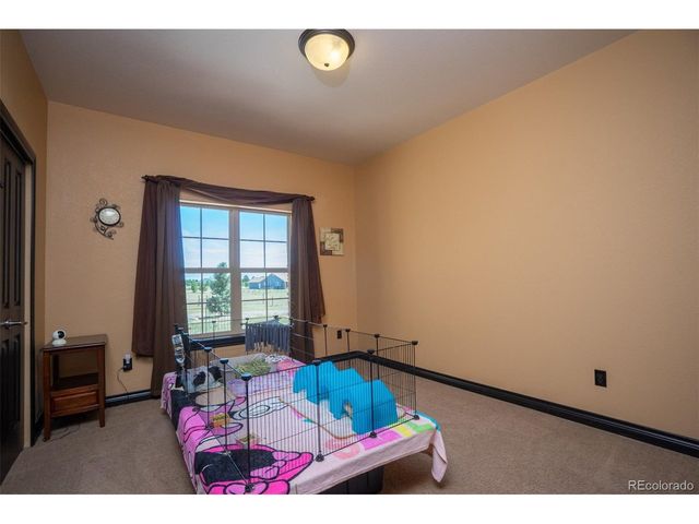 10430 Tercel Dr, Falcon, CO 80831