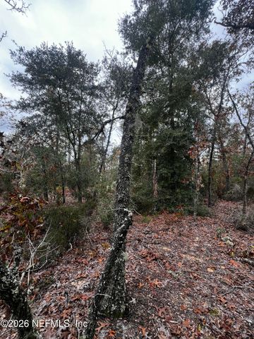 307 LEMON Street, Interlachen, FL 32148