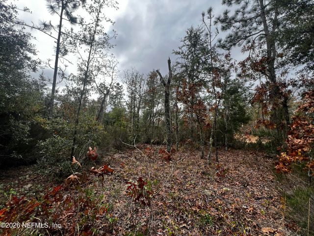 307 LEMON Street, Interlachen, FL 32148