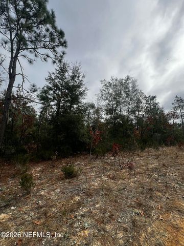 307 LEMON Street, Interlachen, FL 32148