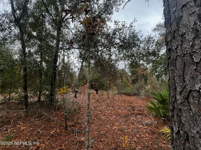 307 LEMON Street, Interlachen, FL 32148