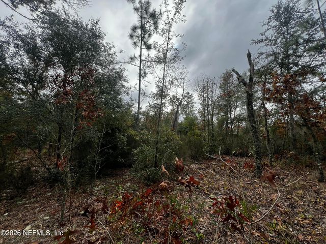 307 LEMON Street, Interlachen, FL 32148