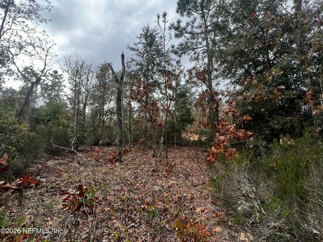 307 LEMON Street, Interlachen, FL 32148