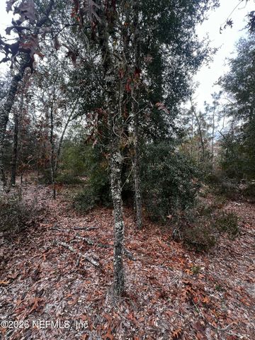 307 LEMON Street, Interlachen, FL 32148