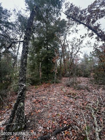 307 LEMON Street, Interlachen, FL 32148