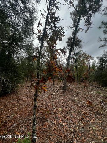 307 LEMON Street, Interlachen, FL 32148