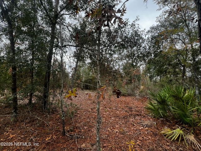 307 LEMON Street, Interlachen, FL 32148