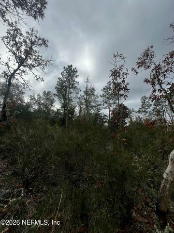 307 LEMON Street, Interlachen, FL 32148