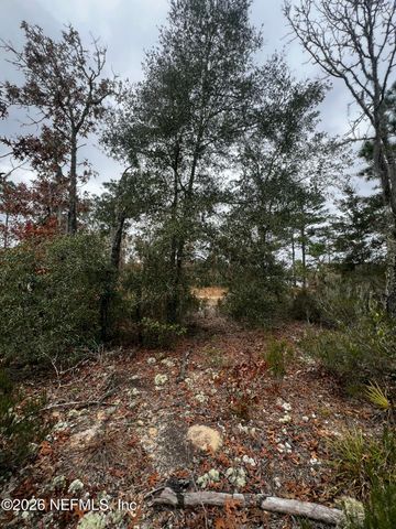 307 LEMON Street, Interlachen, FL 32148